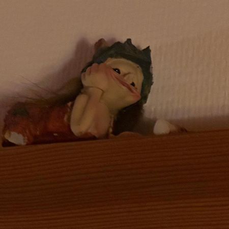 Trollhus - Grosses Familienfreundliches Ferienhaus Born Eksteriør billede