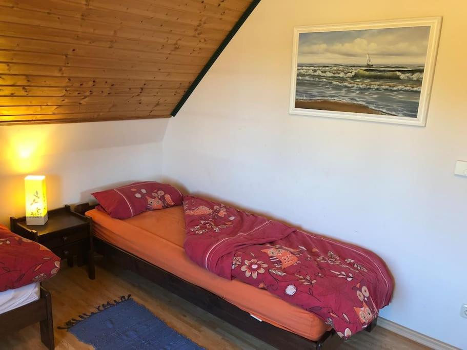 Trollhus - Grosses Familienfreundliches Ferienhaus Born Eksteriør billede
