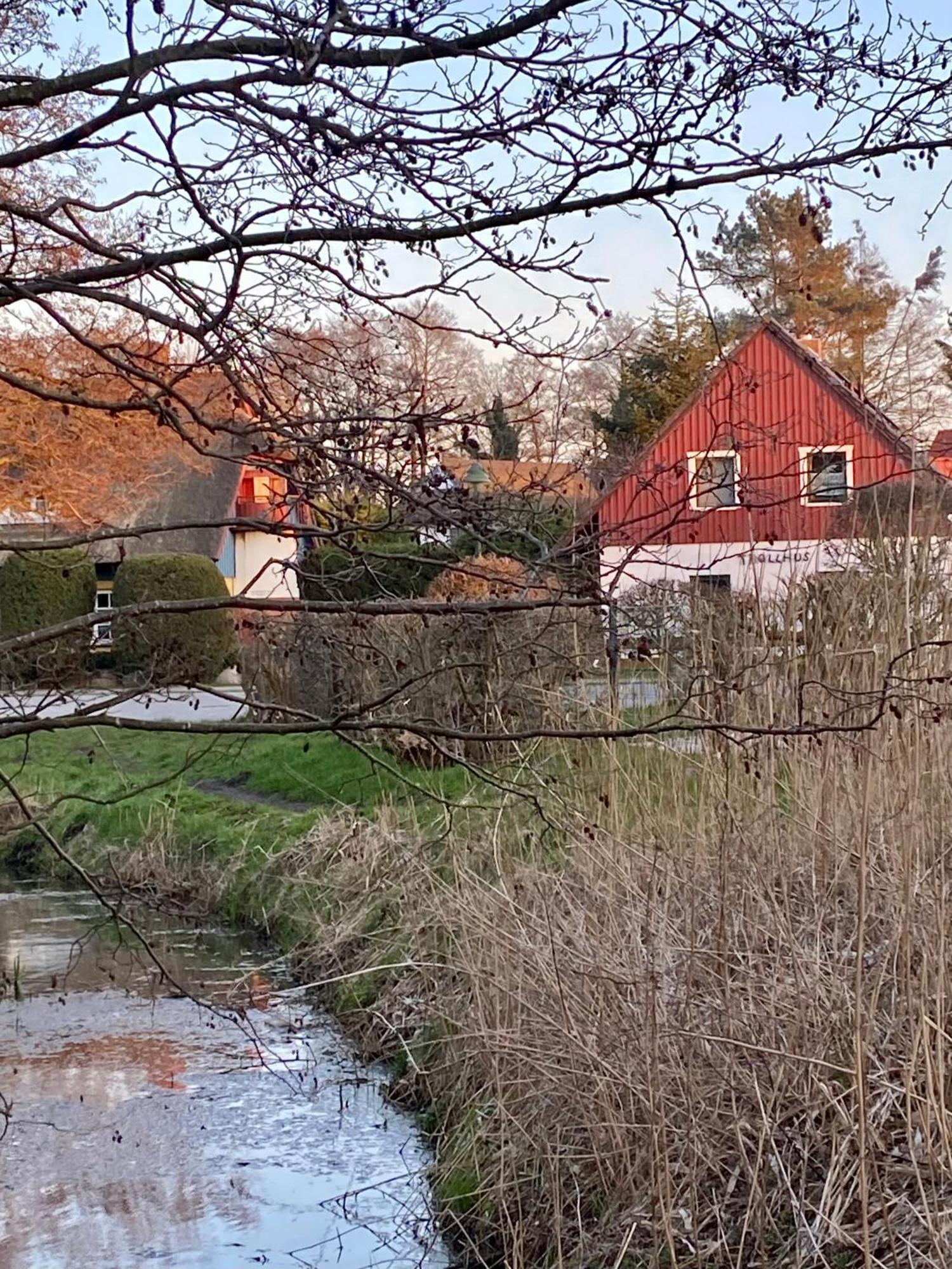 Trollhus - Grosses Familienfreundliches Ferienhaus Born Eksteriør billede